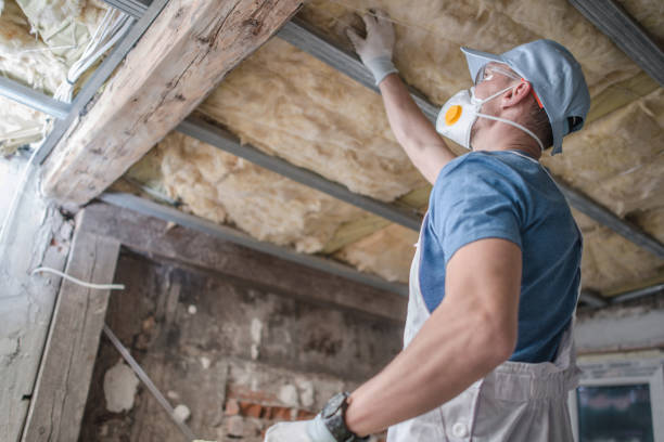 Best Insulation Installation Services in Copper Canyon, TX
